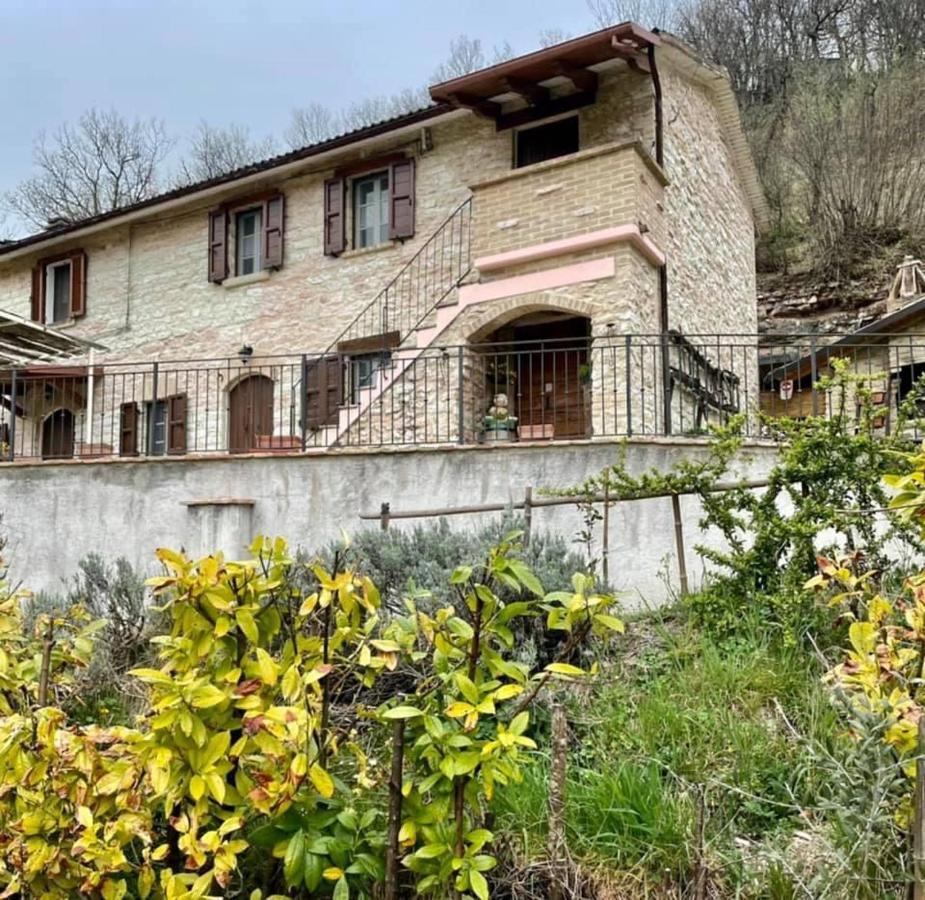 B&B Il Poggetto Serra SantʼAbbondio エクステリア 写真