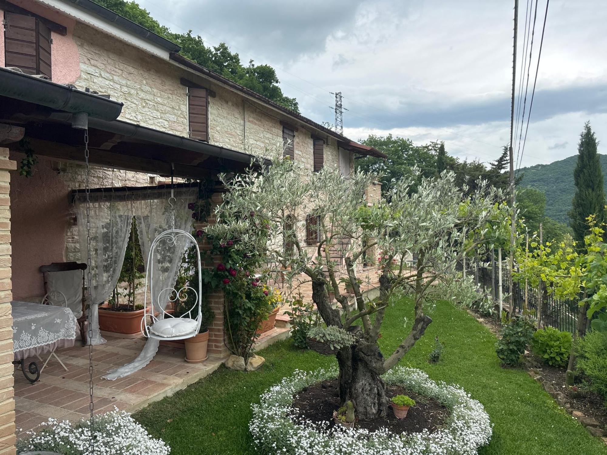B&B Il Poggetto Serra SantʼAbbondio エクステリア 写真