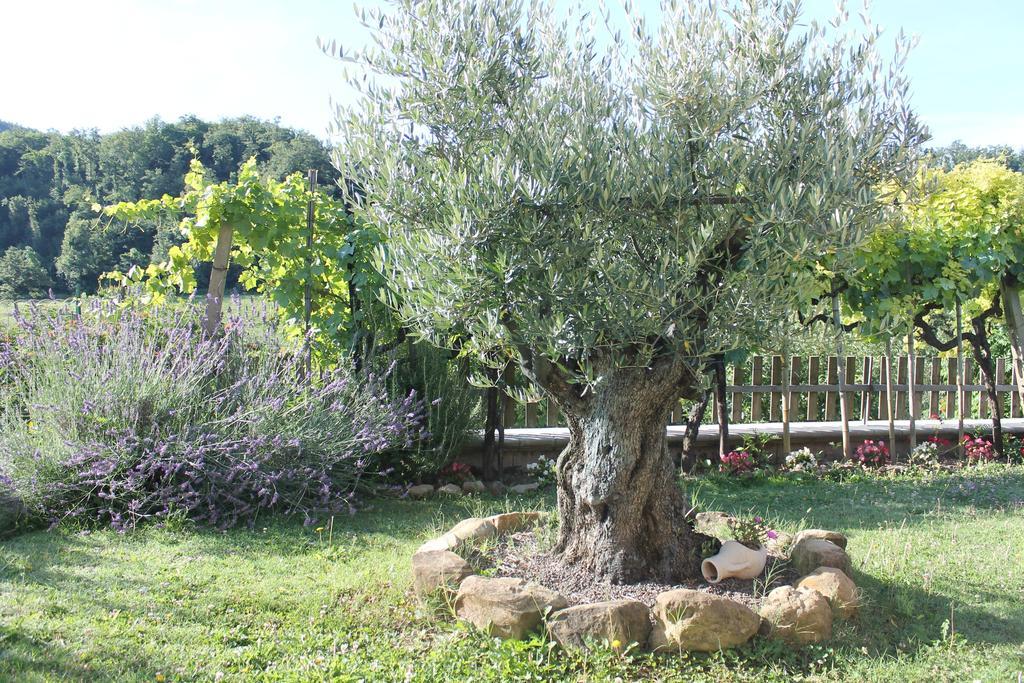B&B Il Poggetto Serra SantʼAbbondio エクステリア 写真